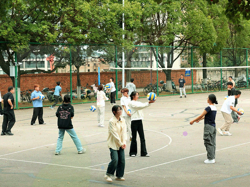 榜单前五名的抽象条状图，首位以红土橙强调
